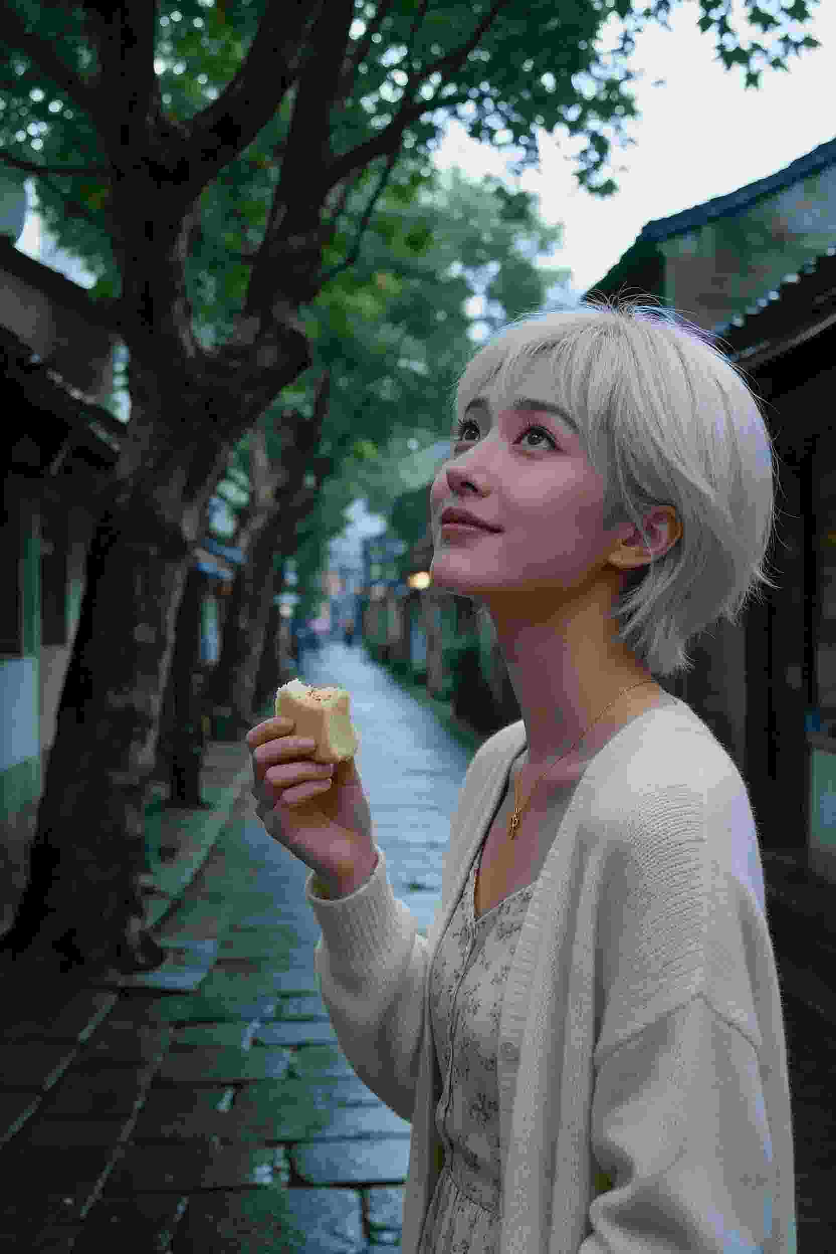 视频